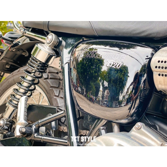 Triumph T120 GoldLine - PPF TPU